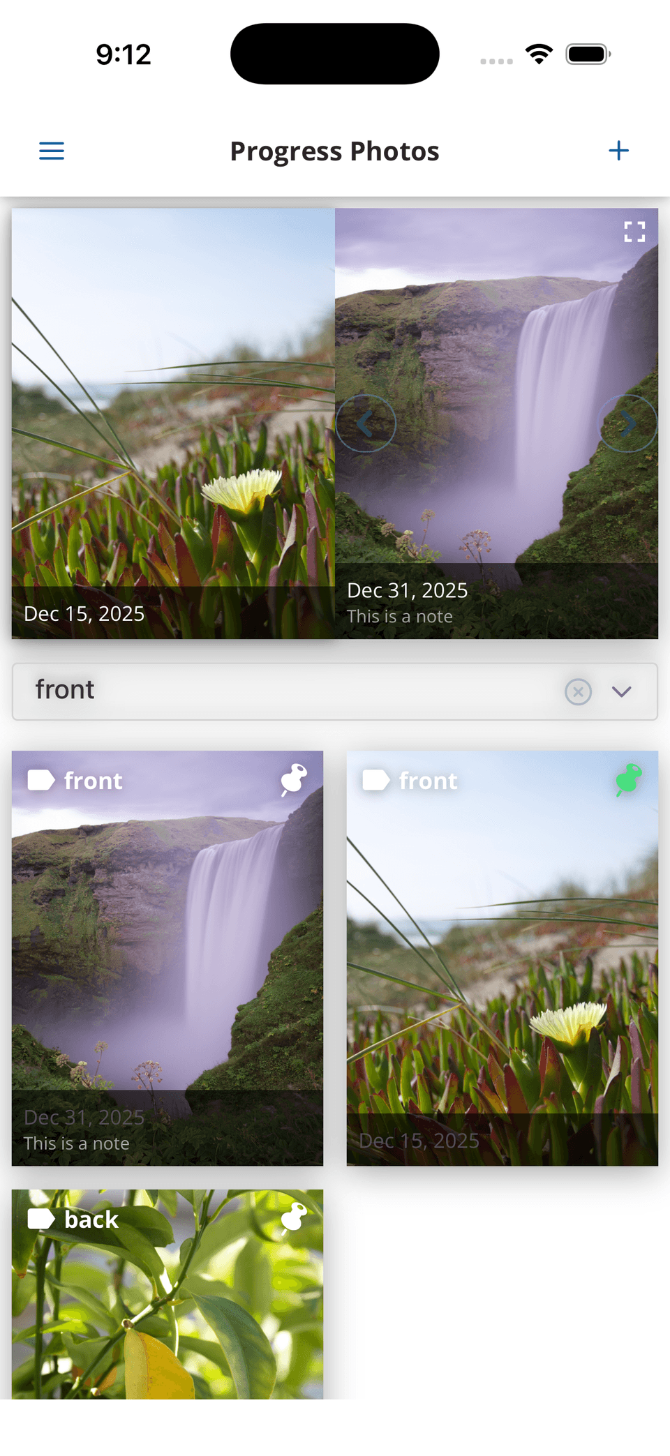 progress photos example